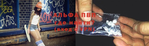 гашик Верея