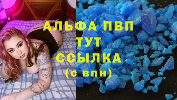 гашик Верея