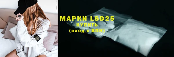 гашик Верея