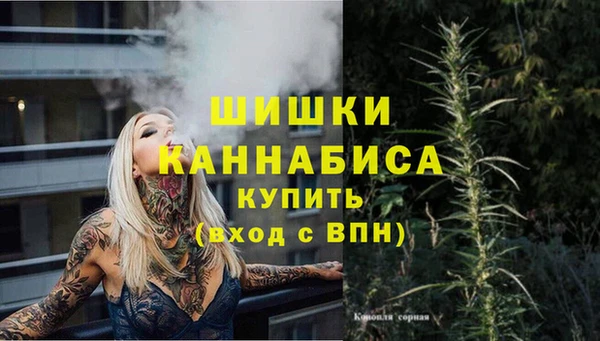 гашик Верея