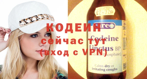 гашик Верея